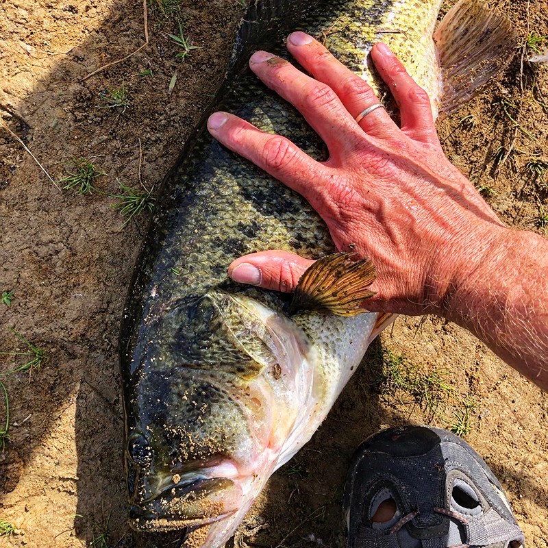 Jason Kaefer where to catch big bass 2 best seasons