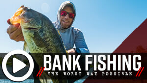 Bank Fishing