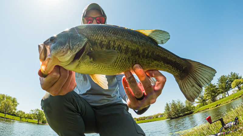 Bank Fishing Largemouth Bass AJ Hauser Ugly Tuff Bionic Blade Cabin Creek Oval Sinkin Worm Texas Rig