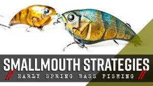 Midwest Smallmouth Strategies (Early Spring Bass Fishing)
