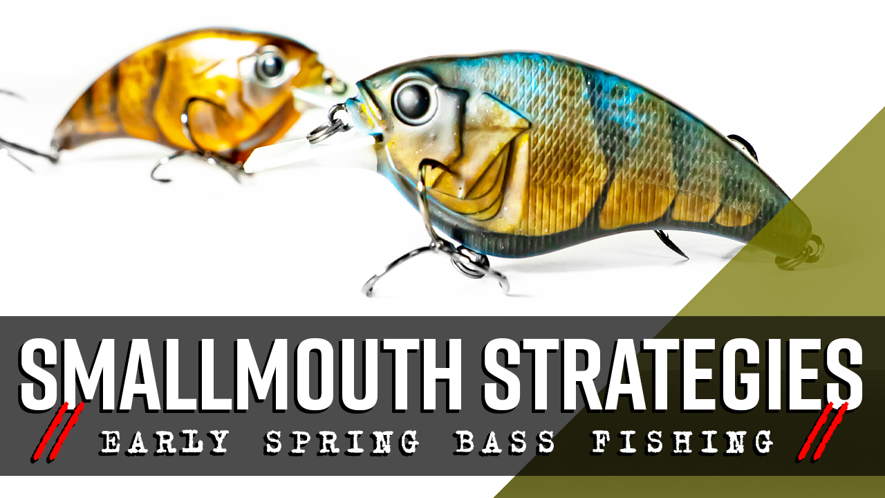 affordable saltwater baitcasting reels The Best Baitcasting Reels of 2026, Tested and Reviewed