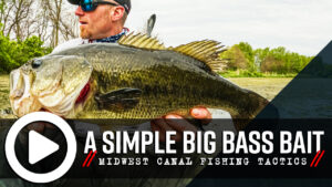 Canal Fishing for Big Bass (Simple Largemouth Bait)
