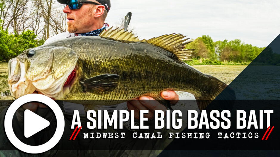 canal fishing best baits midwest a simple big bass bait