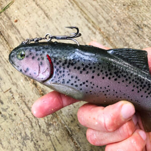 Huddleston Deluxe 8 Inch Rainbow Trout Big Swimbait