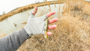 pond fishing midwest largemouth bass strike king rage craw snapping turtle pond bank fishing reeds