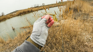 pond fishing midwest largemouth bass strike king rage craw snapping turtle pond bank fishing reeds