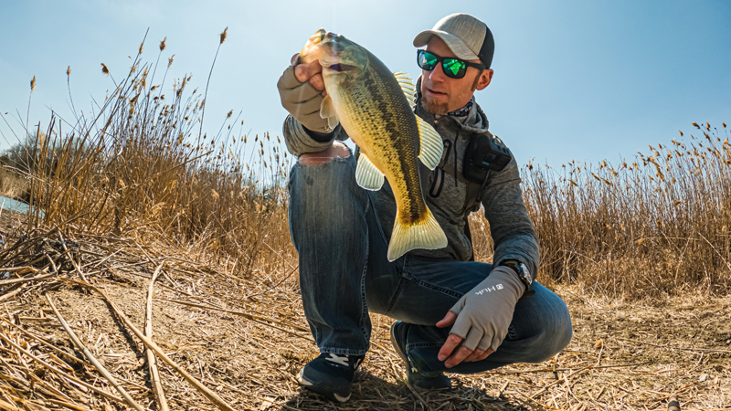 pond fishing midwest largemouth bass strike king rage craw snapping turtle pond bank fishing reeds