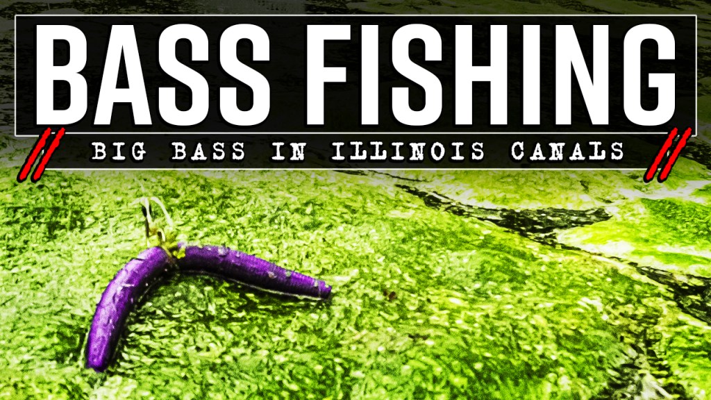 YouTube Thumbnail Canal Canals Footer Bass Fishing Video