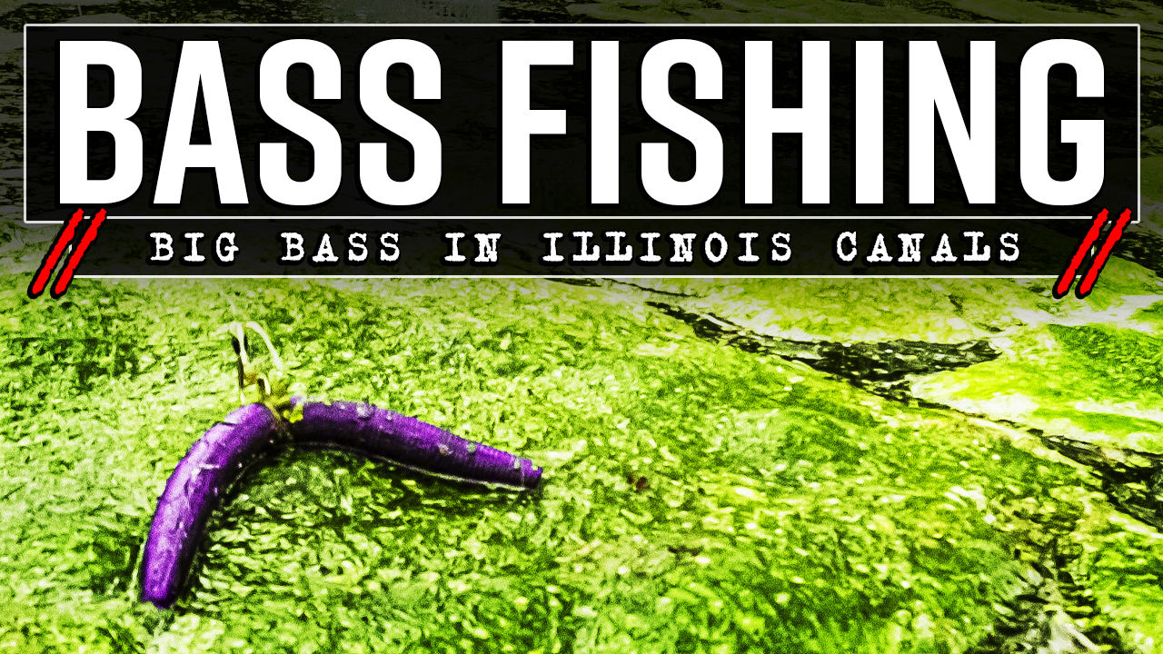 YouTube Thumbnail Canal Canals Footer Bass Fishing Video