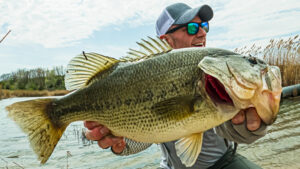 The Crowbar Rig Largemouth Bass Fishing Snapping Turtle Pond Bank