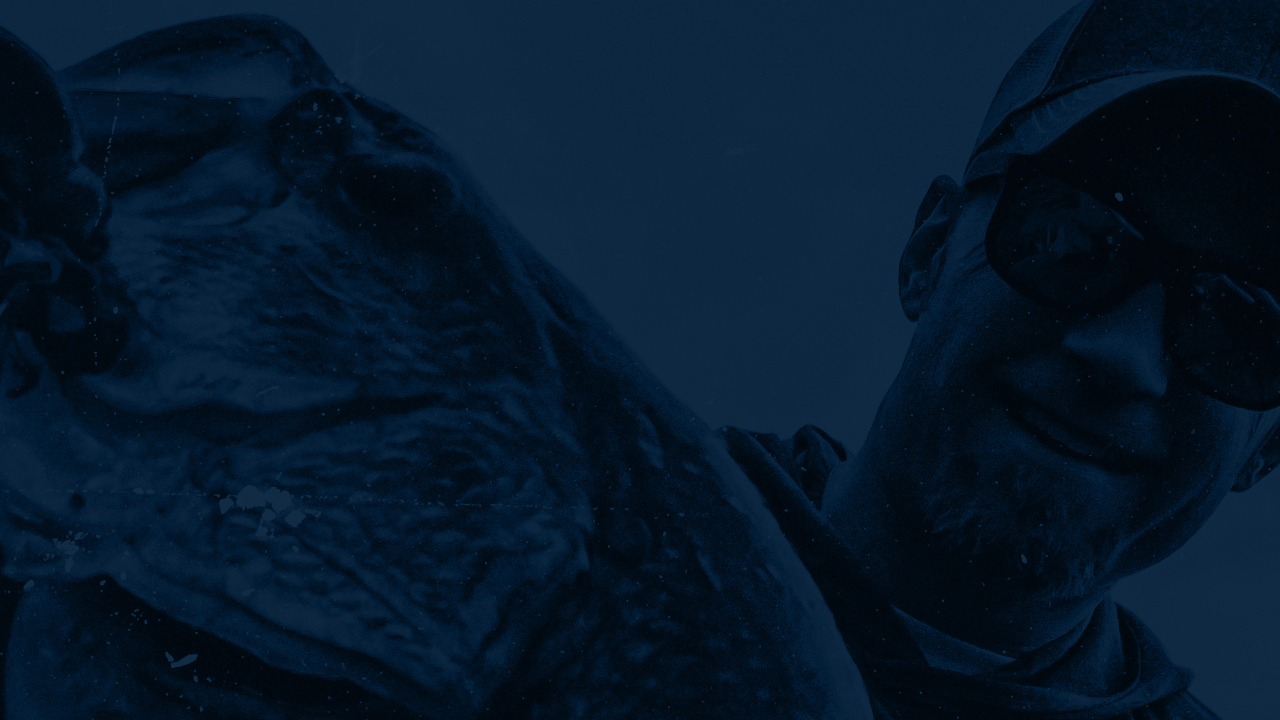 Callout Section The Minimalist Fisherman Midwest Bass Fishing Blue Banner Background Migration