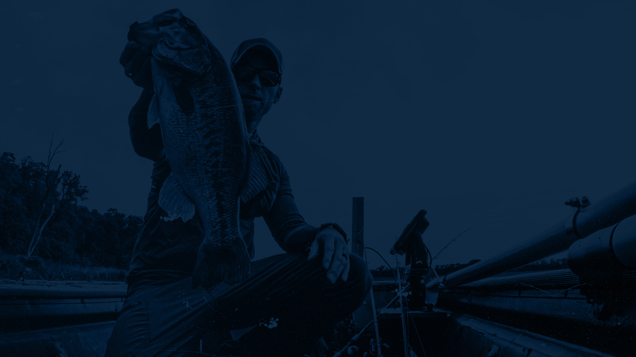 Callout Section The Minimalist Fisherman Midwest Bass Fishing Blue Banner Background Migration