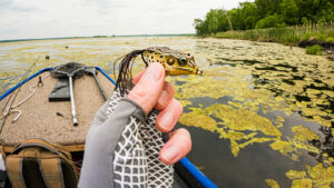 AJ Hauser Midwest Outdoors Illinois Fishing Fisherman Frog Jon Boat